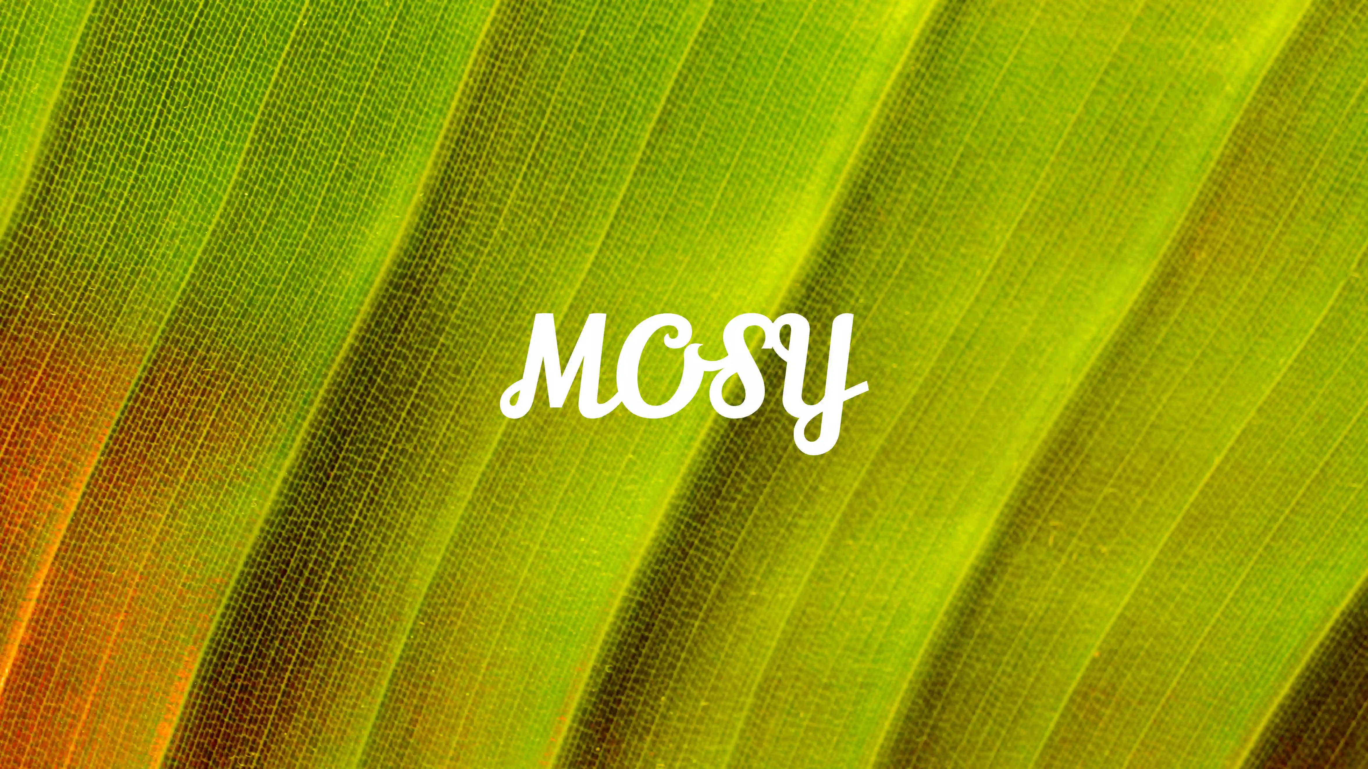 Partner Mosy image