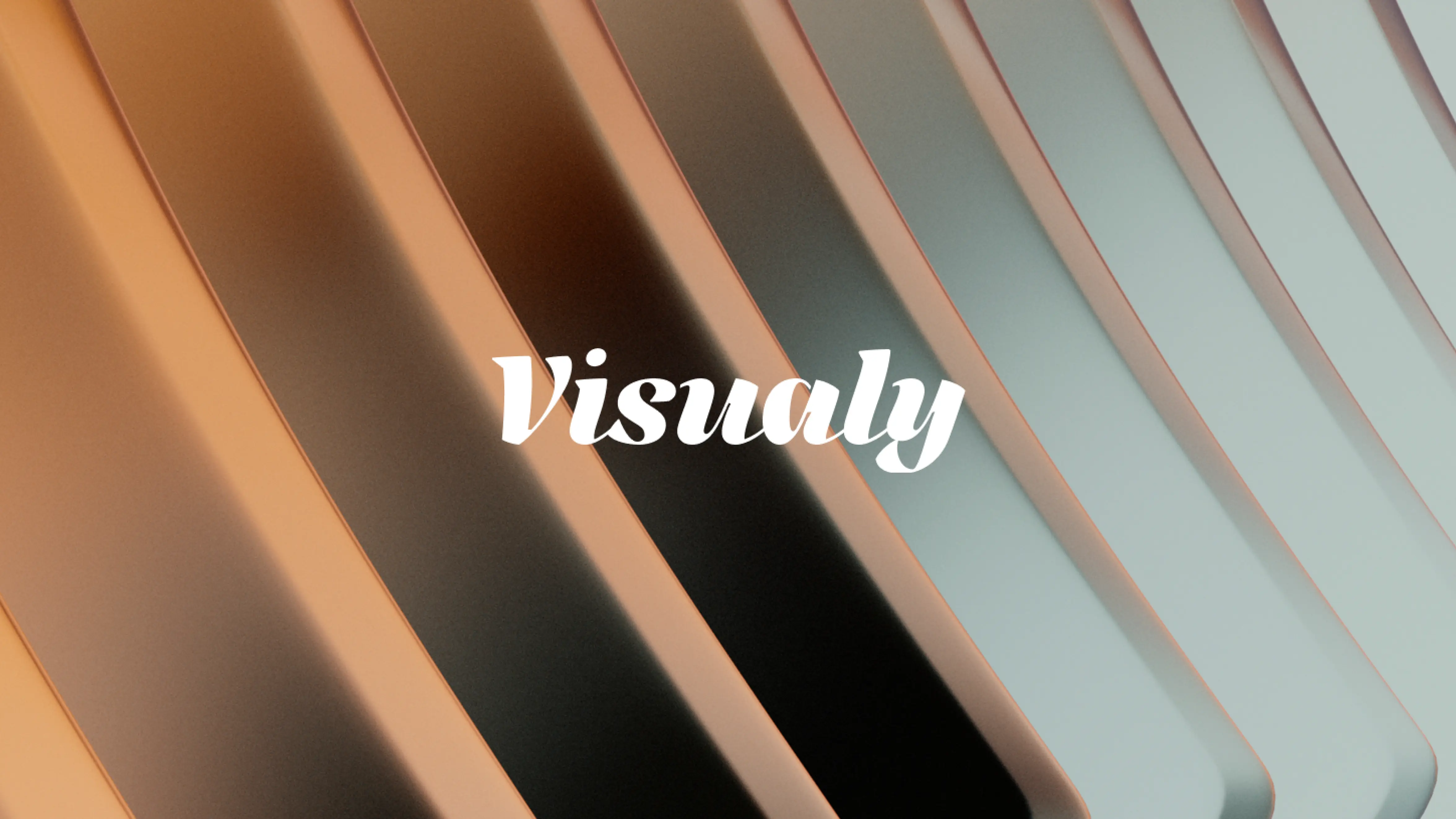 Logo Visualy